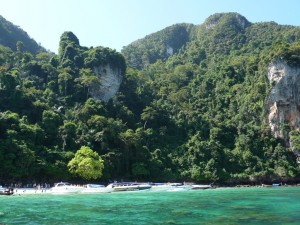 monky beach1 (Medium)