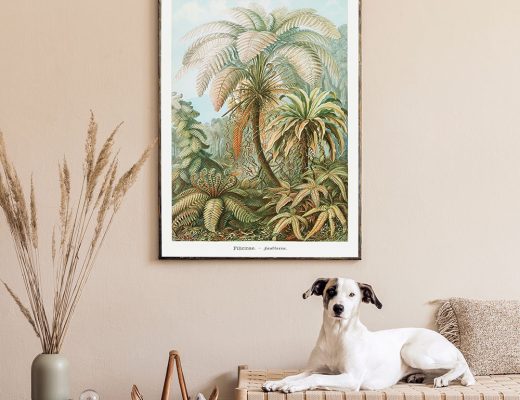 Interieur: 5 x Natuurlijke elementen in je interieur voor een botanische feel